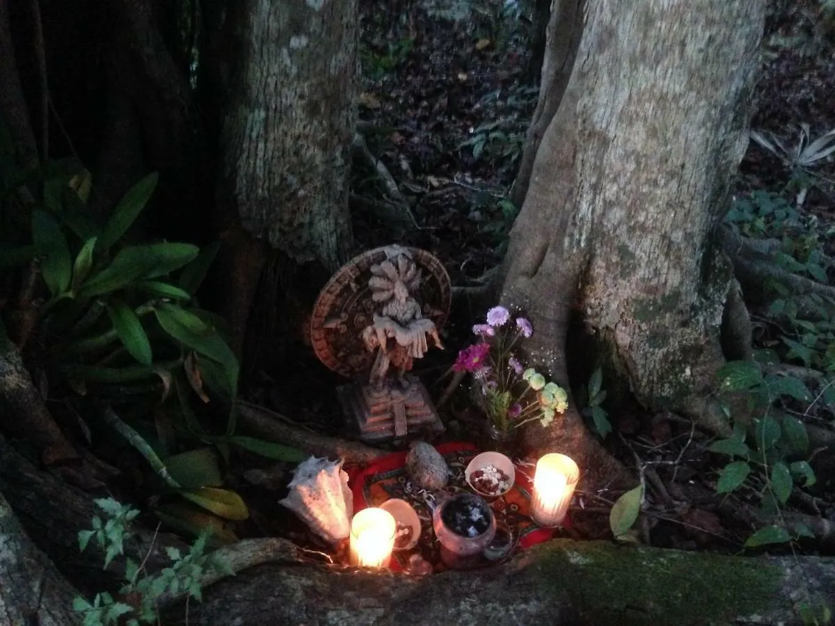 Hotel Carretera Tulum - Coba Km10 Mexiko