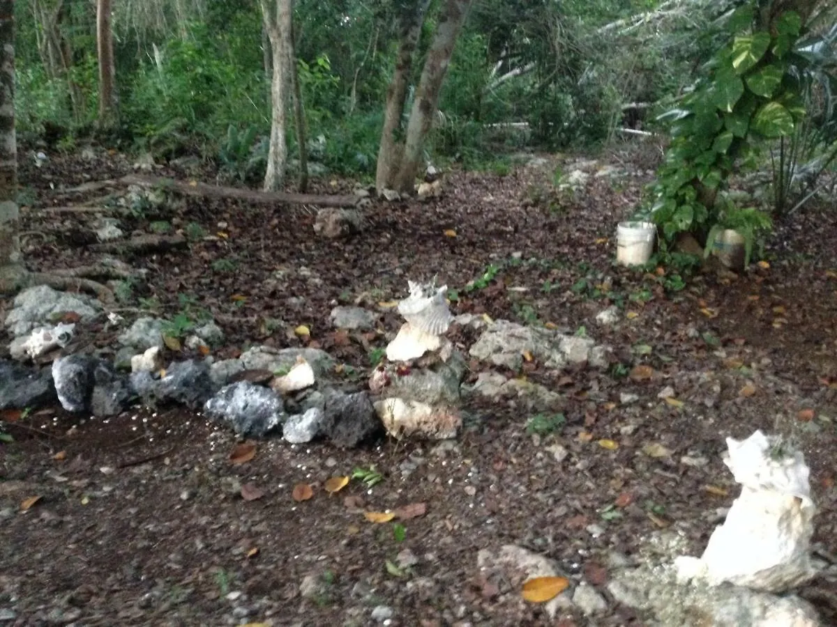 Apartmán Hotel Carretera Tulum - Coba Km10