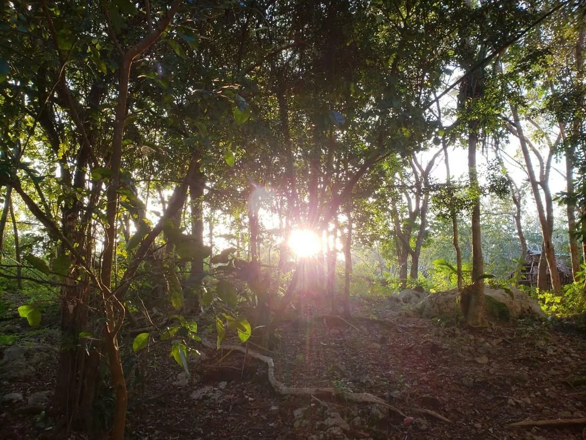Hotel Carretera Tulum - Coba Km10 Mexiko